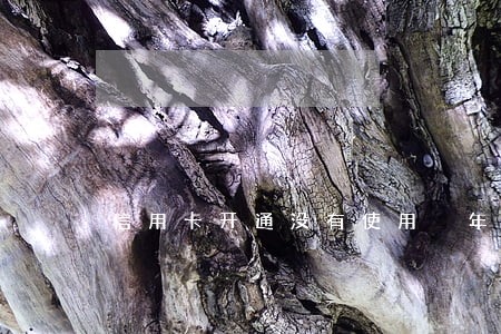 信用卡开通没有使用 年费逾期 信用卡开通没有使用 年费逾期